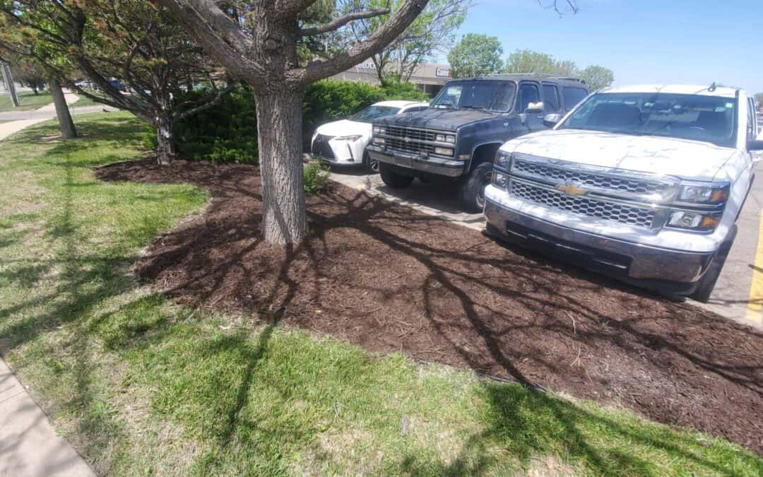 Mulch and Snow Management: A Strategic Approach to Winter Walkways and Driveways in Kansas