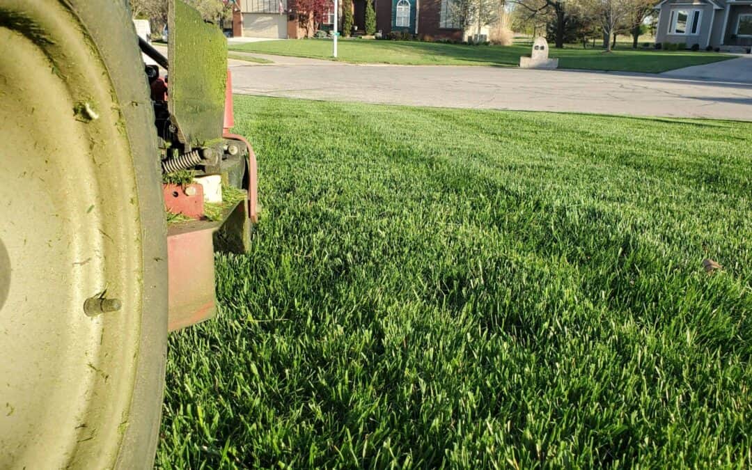 Lawn Mowing and Allergies: A Comprehensive Guide for Kansas Residents