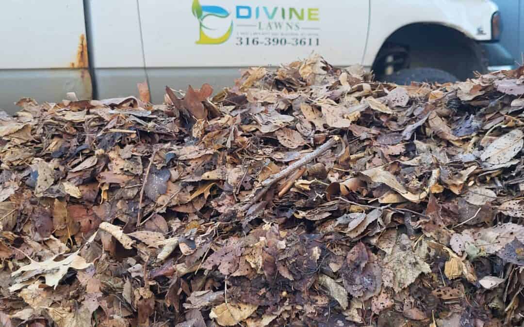 Professional Leaf Removal Planning: A Comprehensive Guide to Fall Cleanups in KS