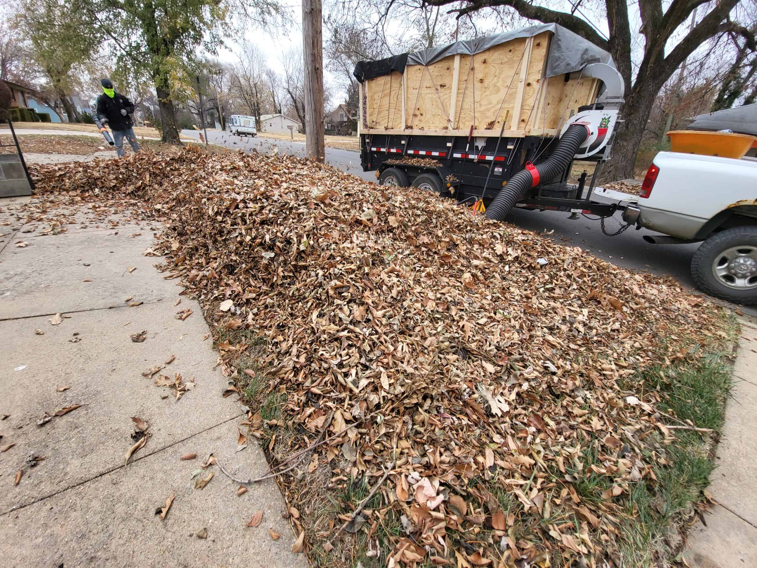 Leaf removal services help keep your KS lawn clean and clear of hazardous obstructions