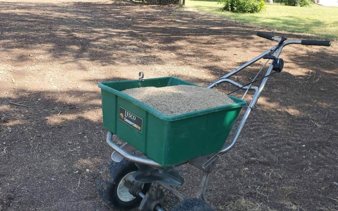 Tips for Creating Customized Lawn Fertilization Plans