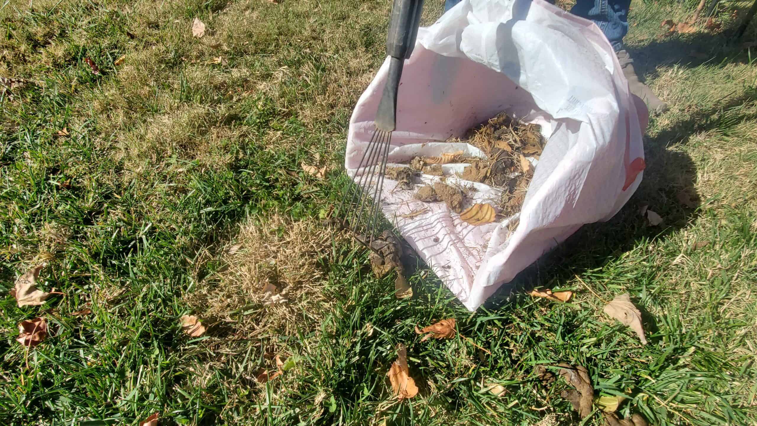 Leaf removal eliminates lawn debris, while mulch helps boost your yard’s ecosystem