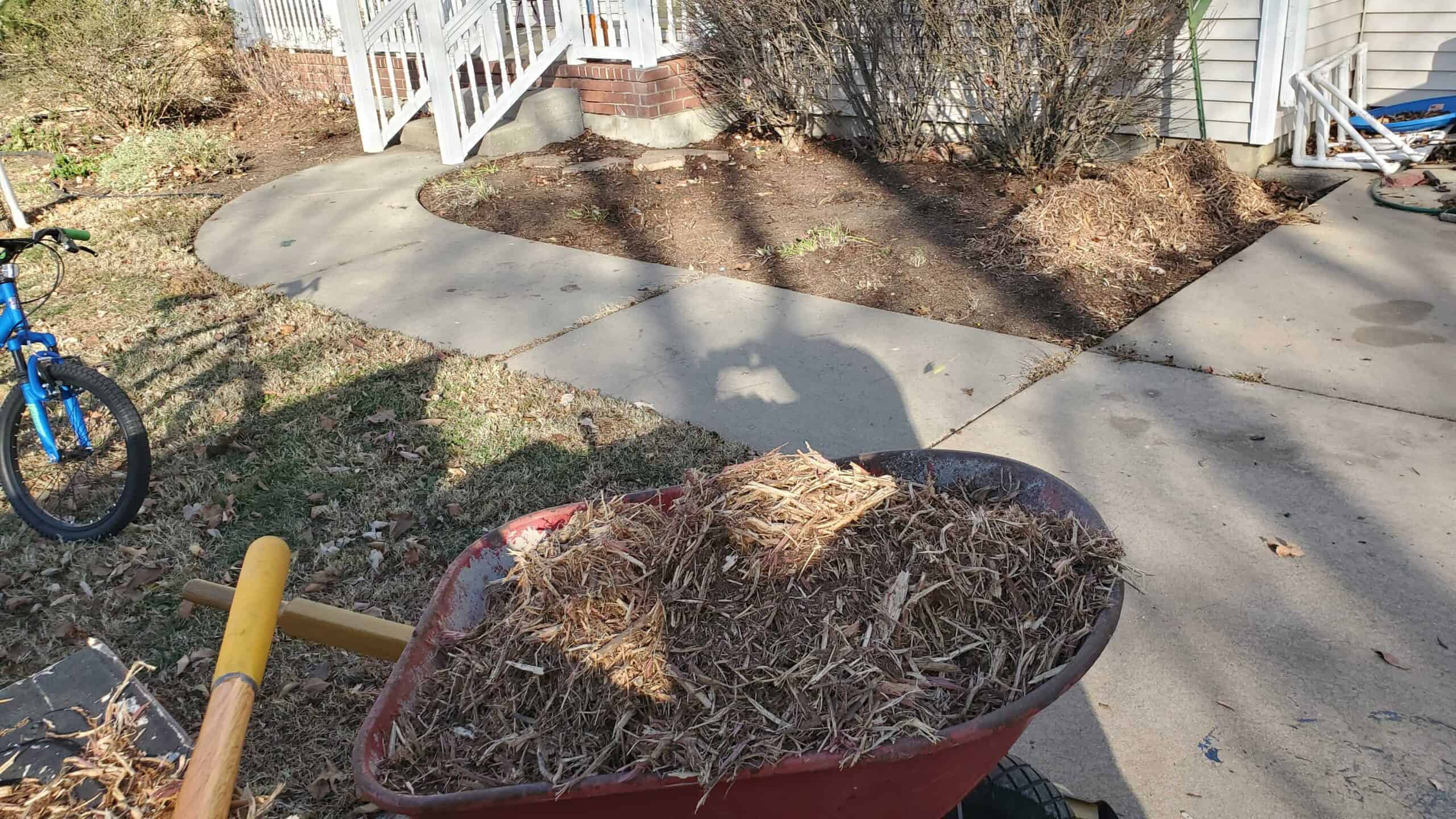 Schedule professional mulching services to maintain lawn vibrance year-round