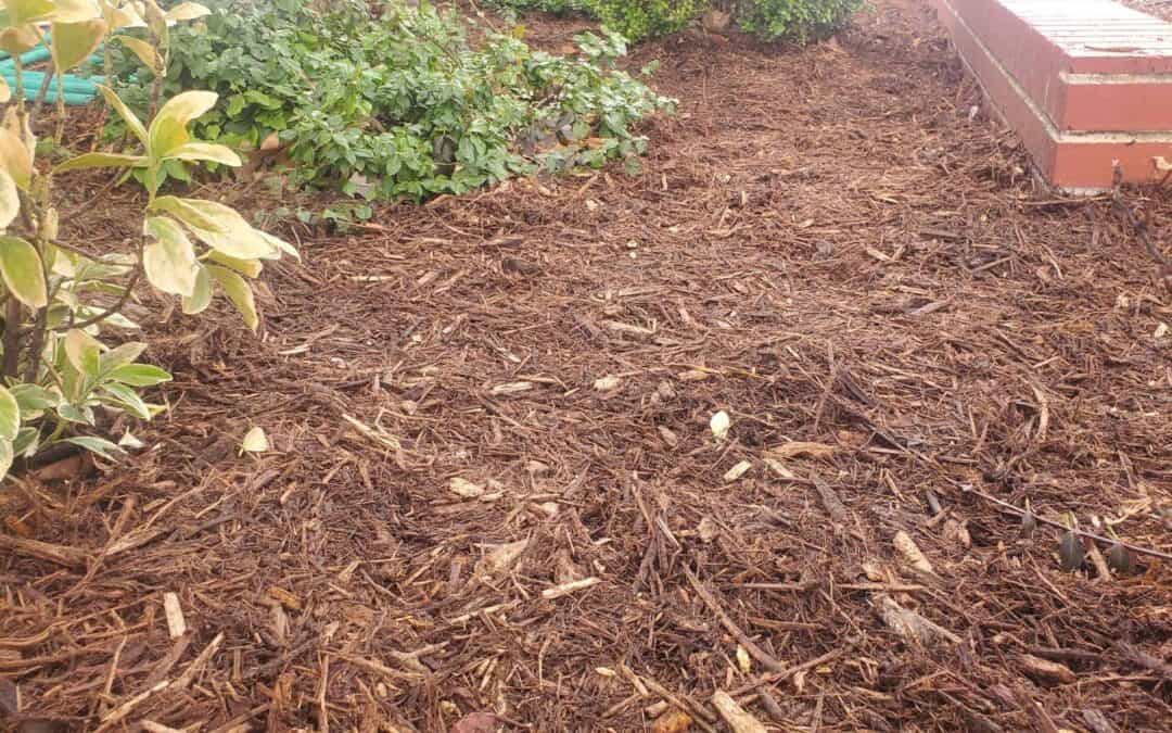 The Green Carpet: Unveiling the Numerous Benefits of Mulching for Kansas Lawn Maintenance
