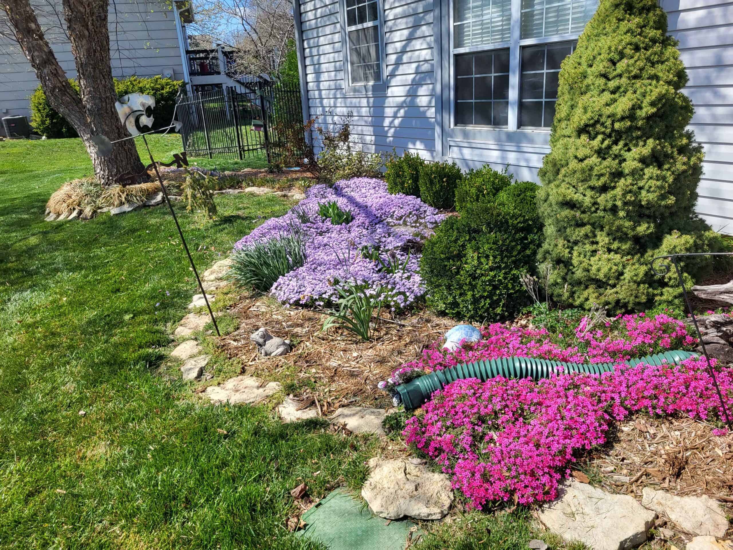Take care of your plants with eco-friendly lawn maintenance services