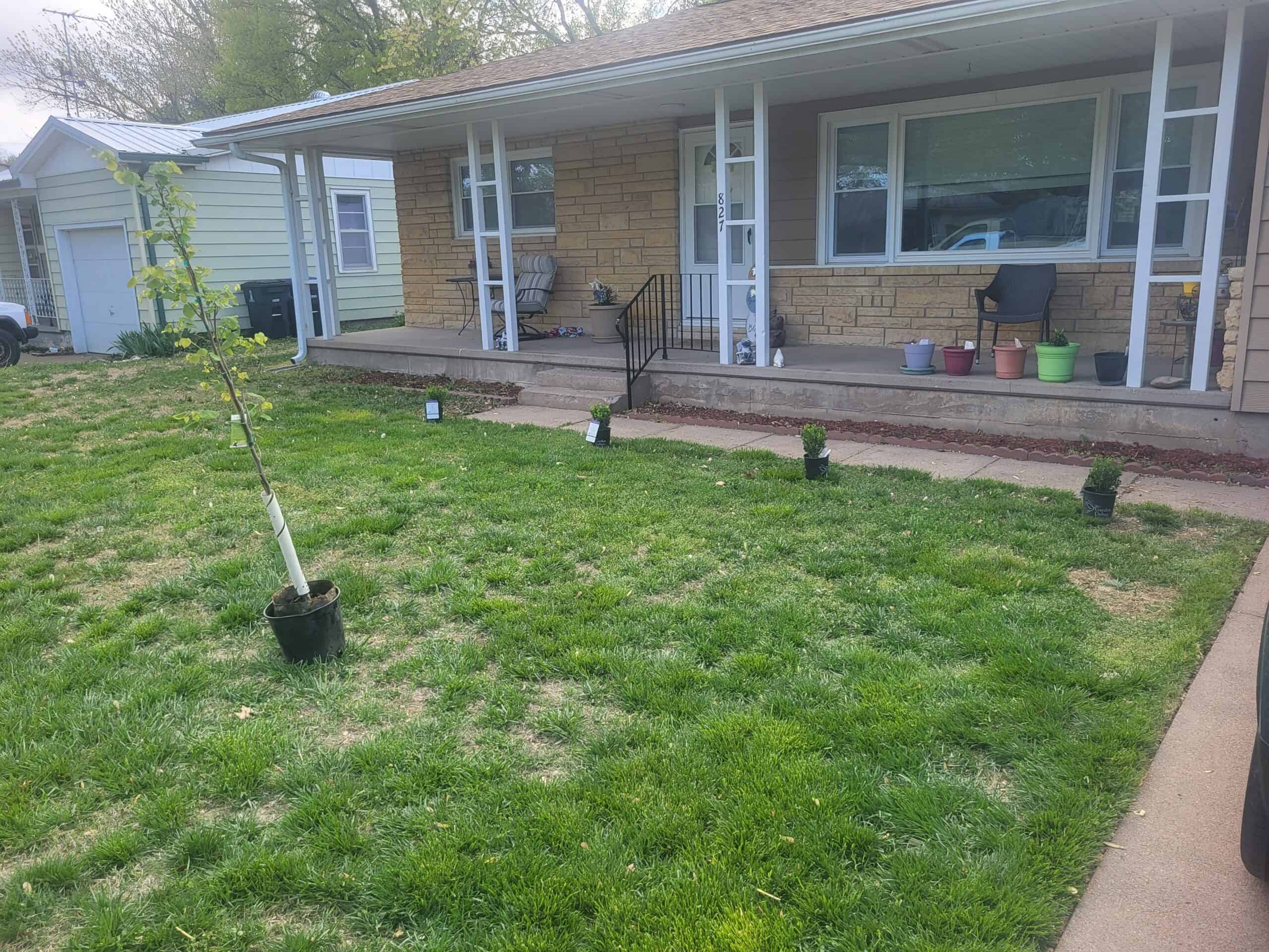 Professional lawn maintenance services ensure year-round beauty and resilience