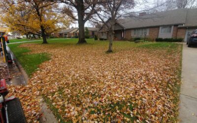 Fall Cleanups: The Cozy Reset Your Landscape Needs