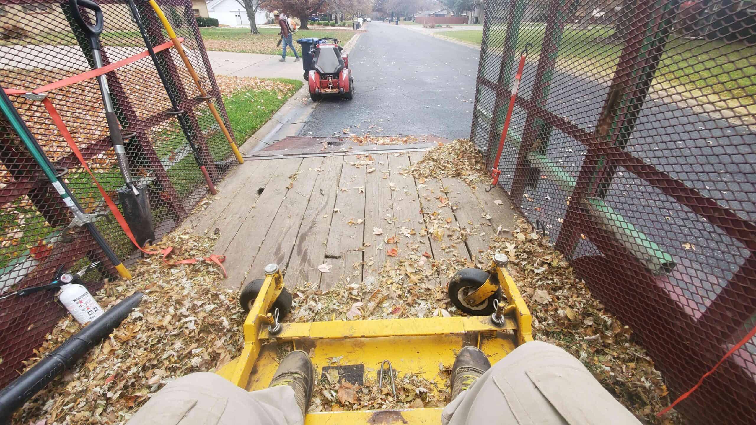 Trust local experts for comprehensive leaf removal services