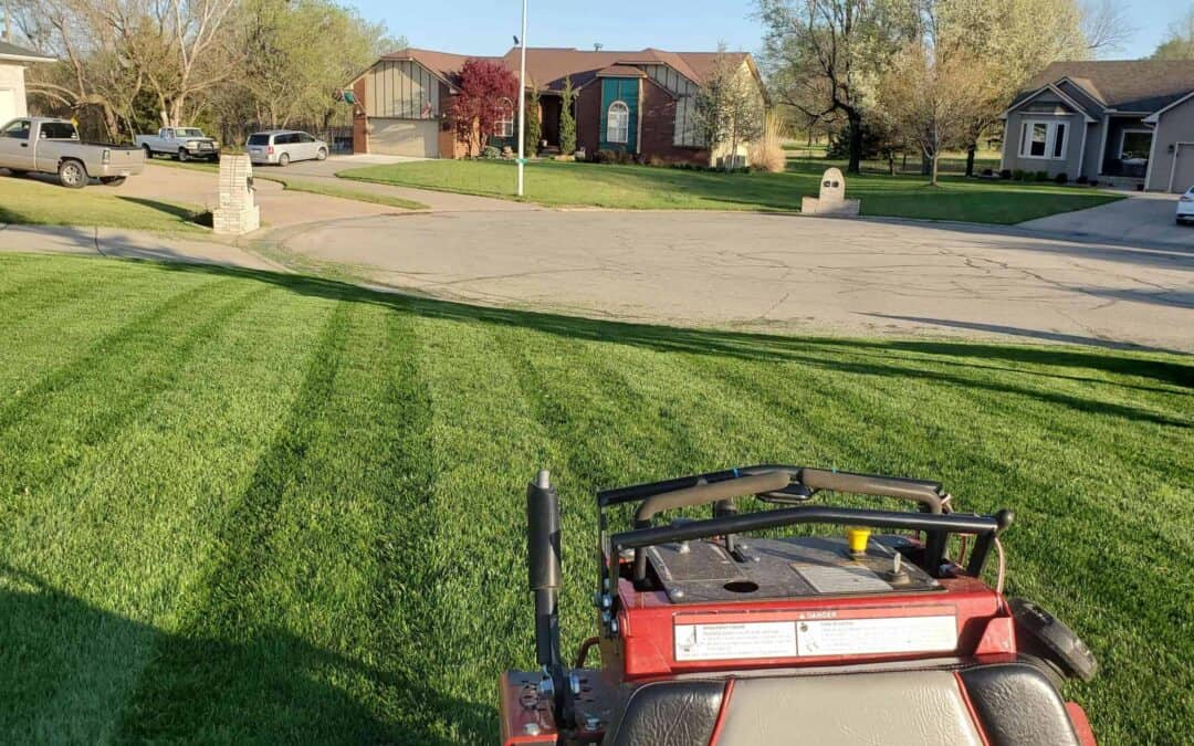 Tips for Environmentally Friendly Lawn Maintenance