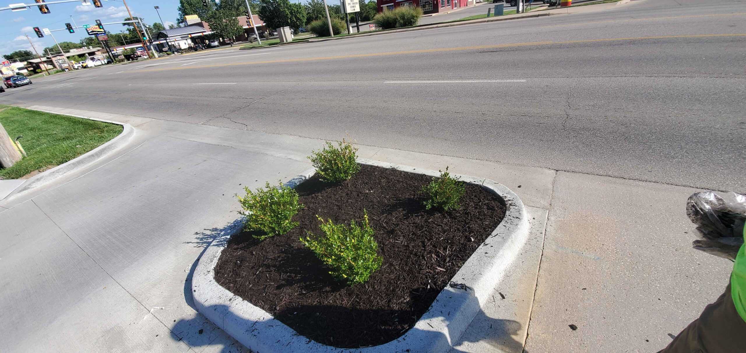 Install mulching according to your property’s soil and plant diversity