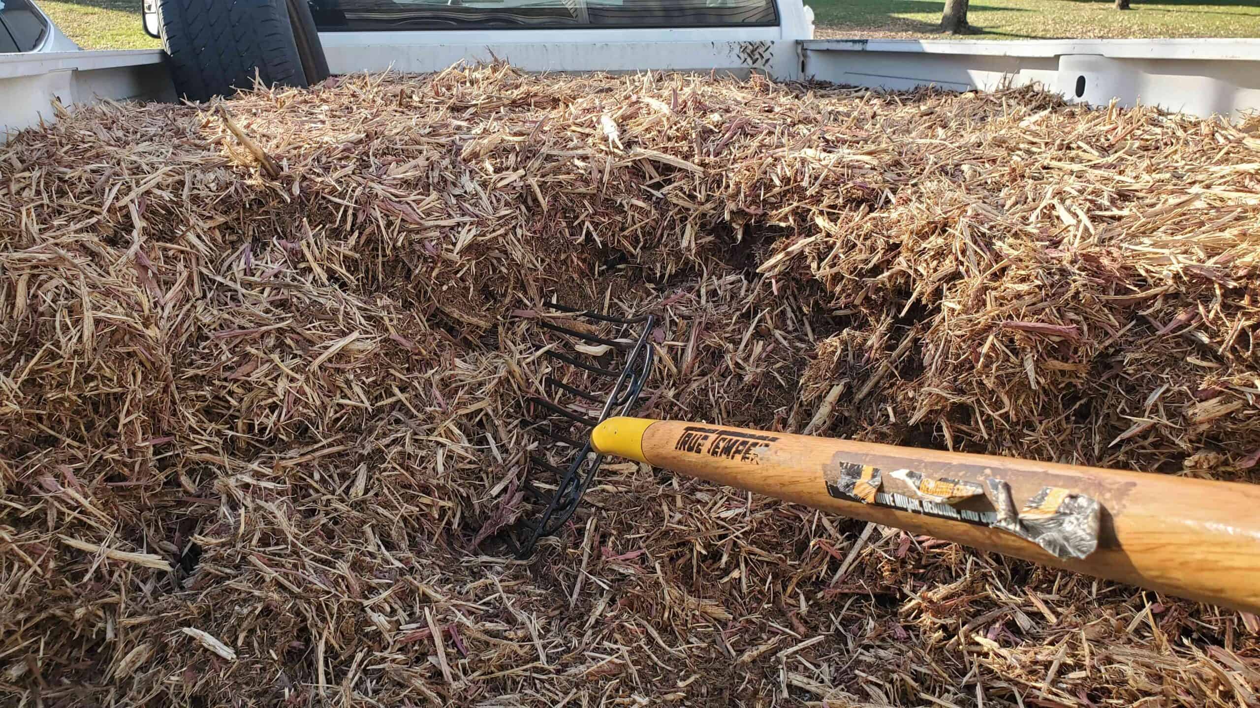 Build a beautiful outdoor space with professional mulching installs