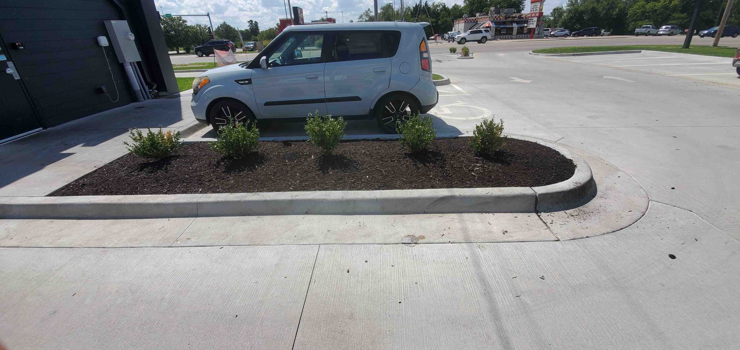 Schedule professional mulching installation services near you