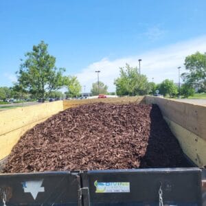 choose between inorganic and organic mulching for the best results