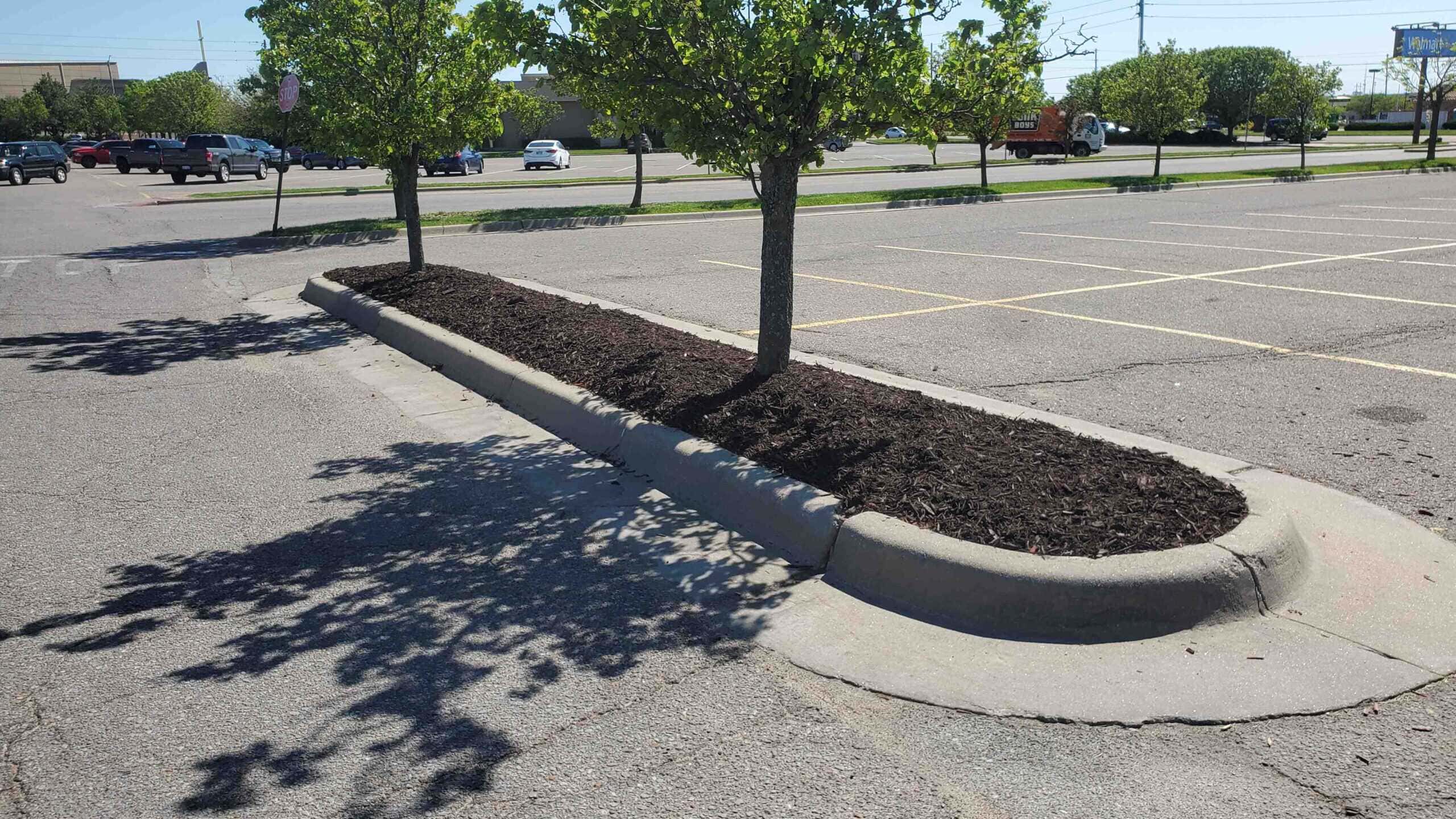 Trust Divine for mulching and more