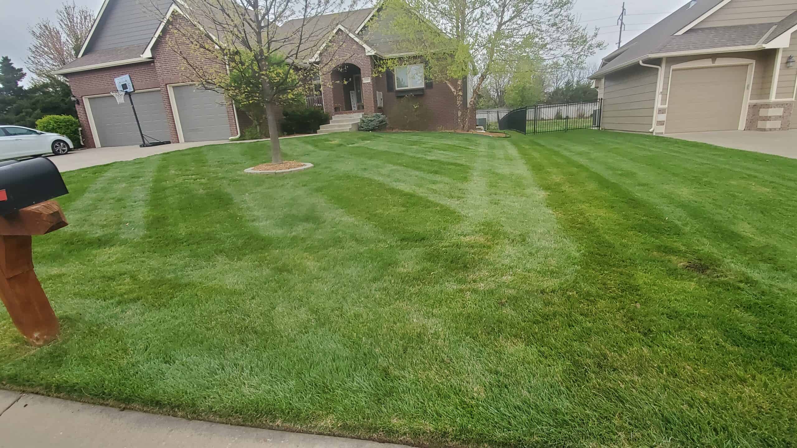 Purposes of Professional Lawn Maintenance