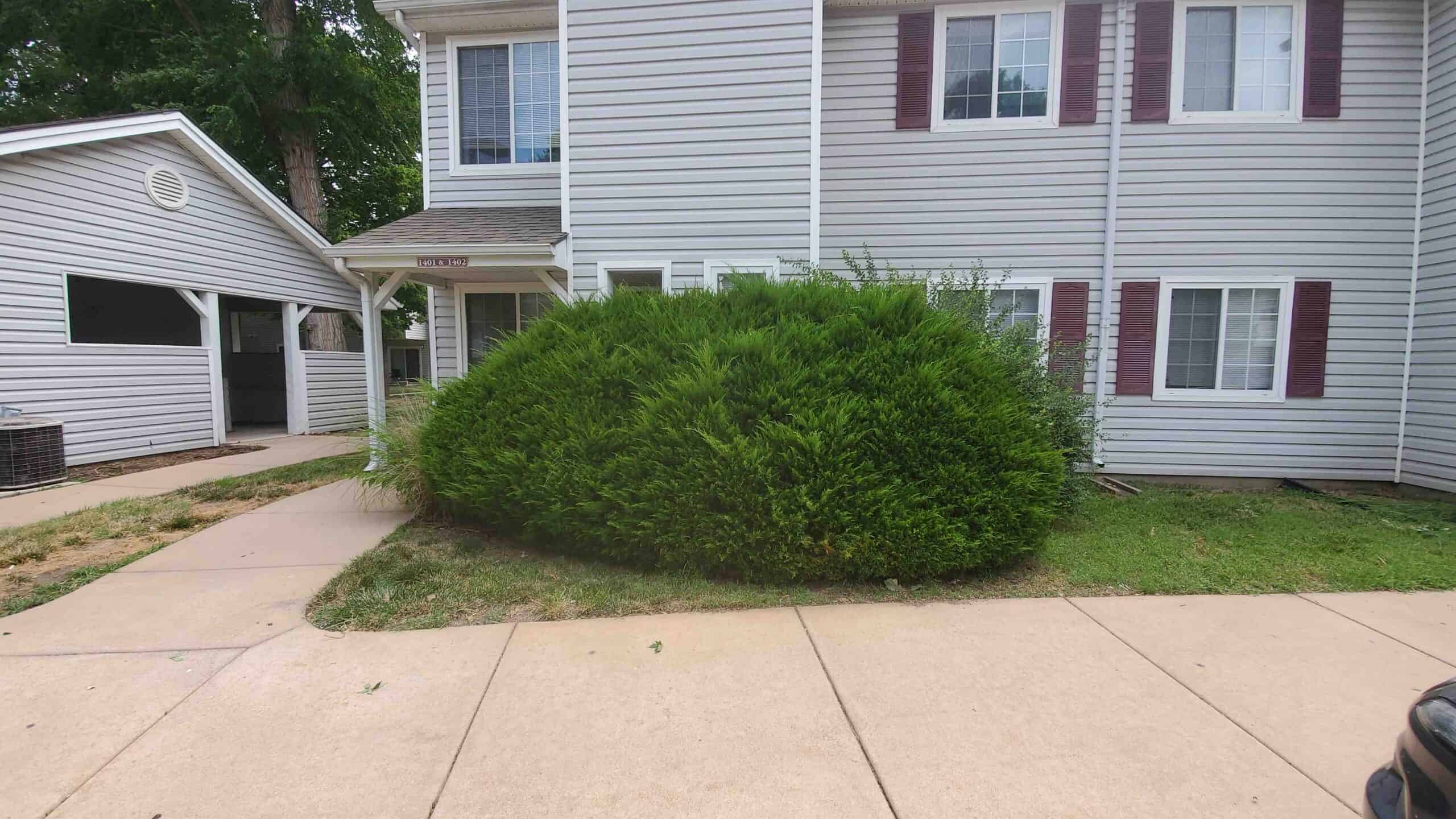 Schedule shrub removal professionals near you for comprehensive services