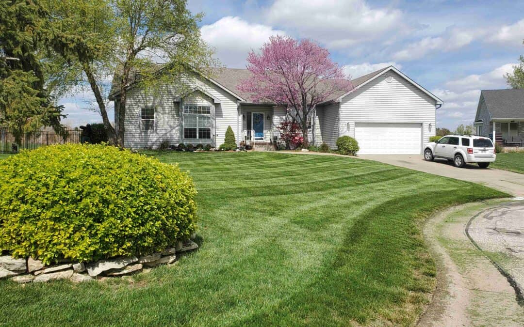 Landscaping Tips for Community Cohesion
