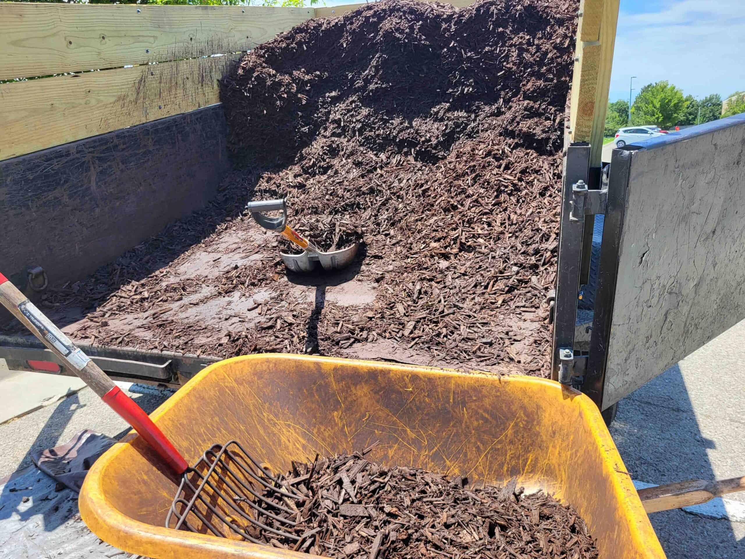 choose between inorganic and organic mulching for the best results