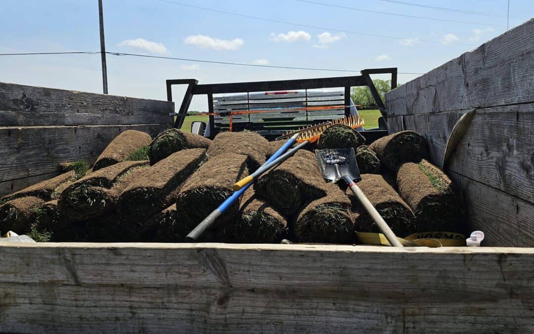Common Sod Installation Mistakes to Avoid