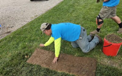 We Are Hiring! | Landscaping Jobs With Real Growth & Purpose