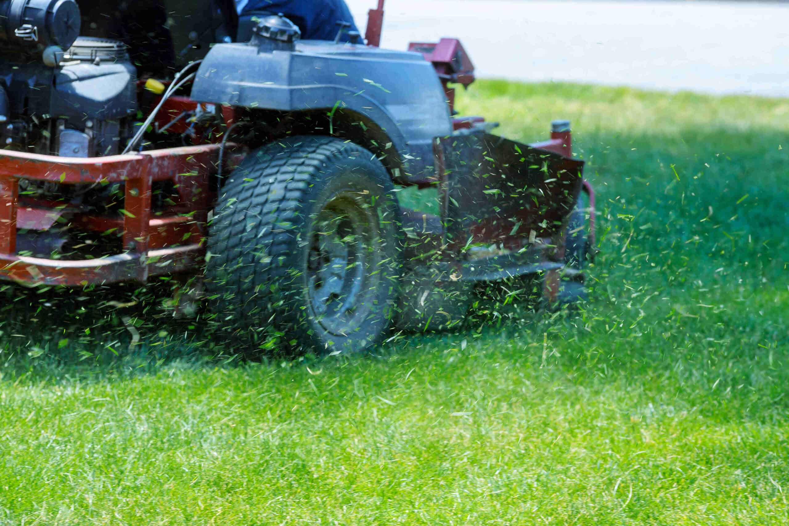 Cut blades of grass flying from a ride-on mower mowing the lawn