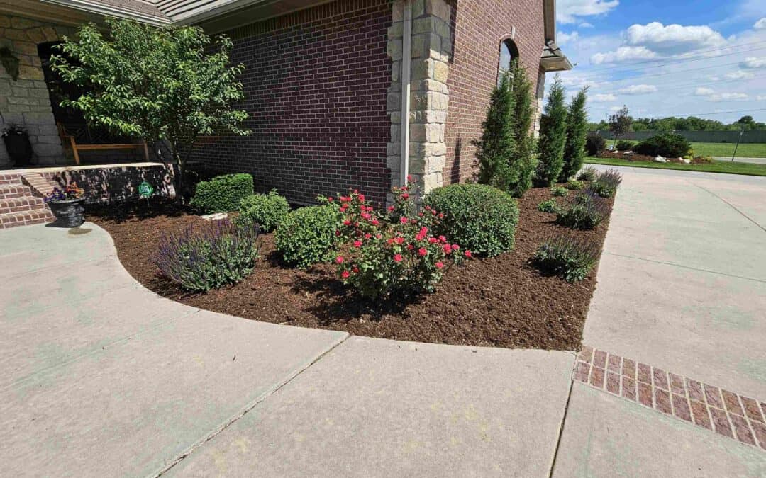 Sustainable Landscaping: Easy & Accessible Strategies