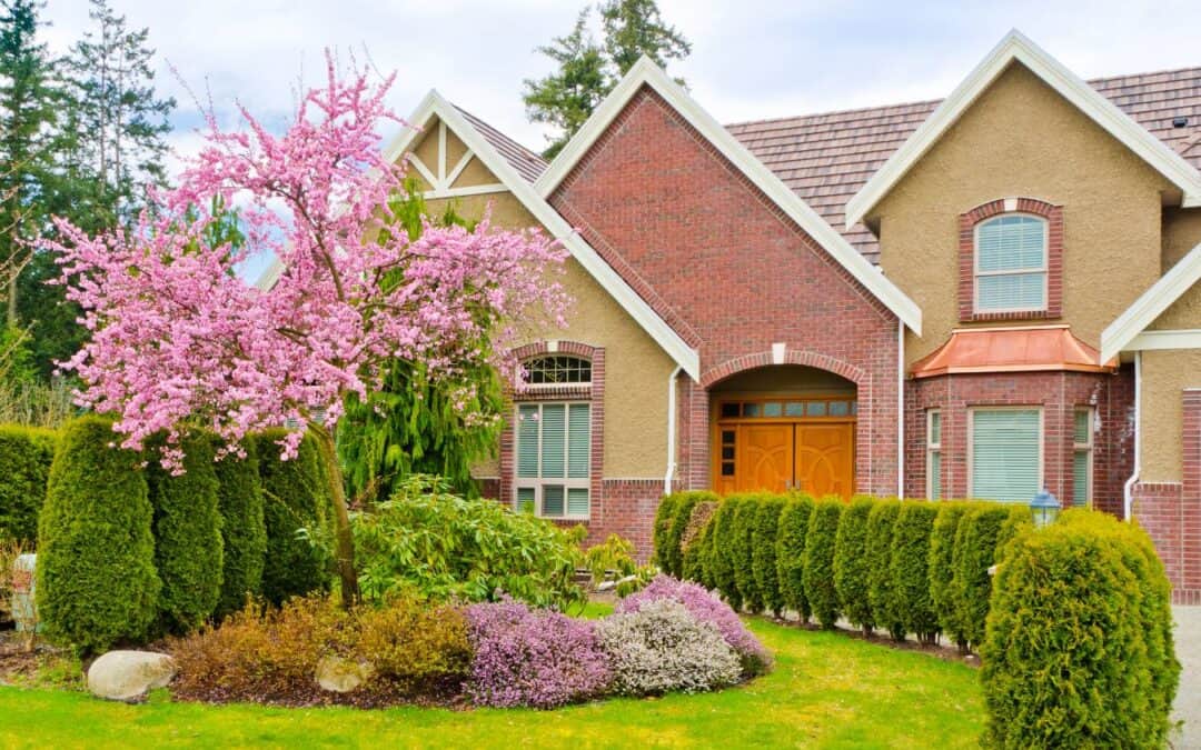 How To Achieve Professional Landscaping At Home