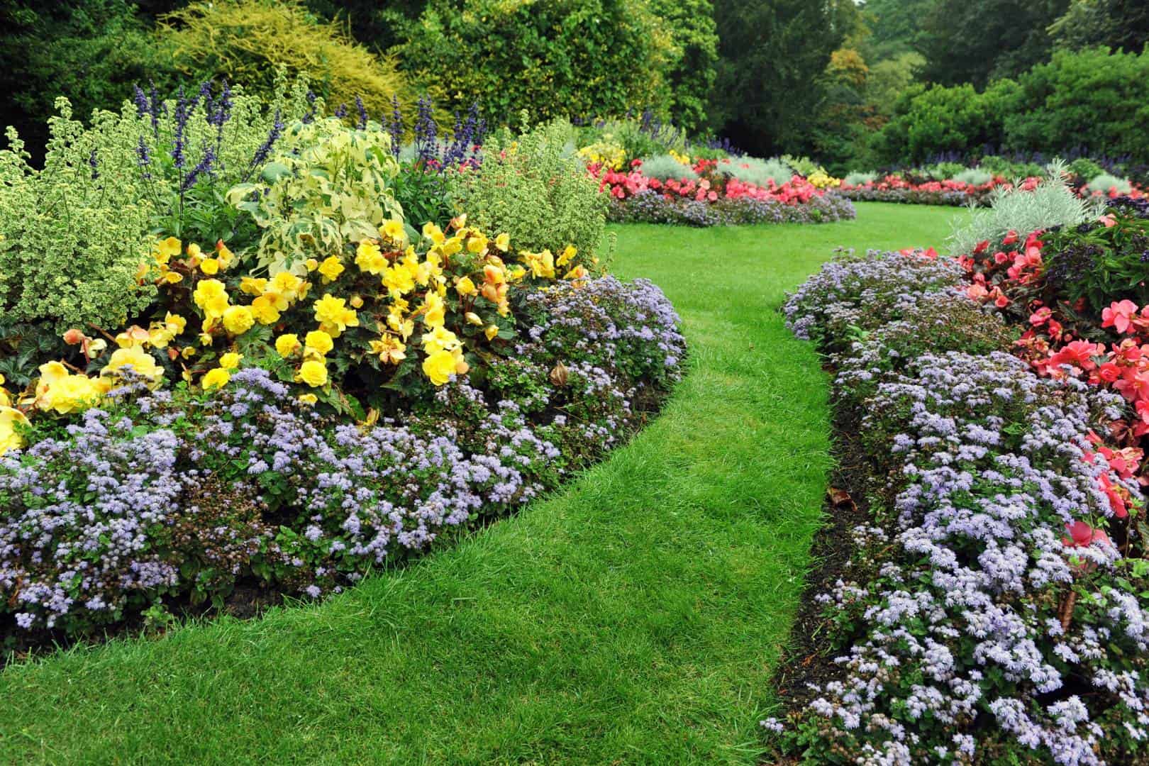 Landscaping project with green lawn path in between blooming flower beds