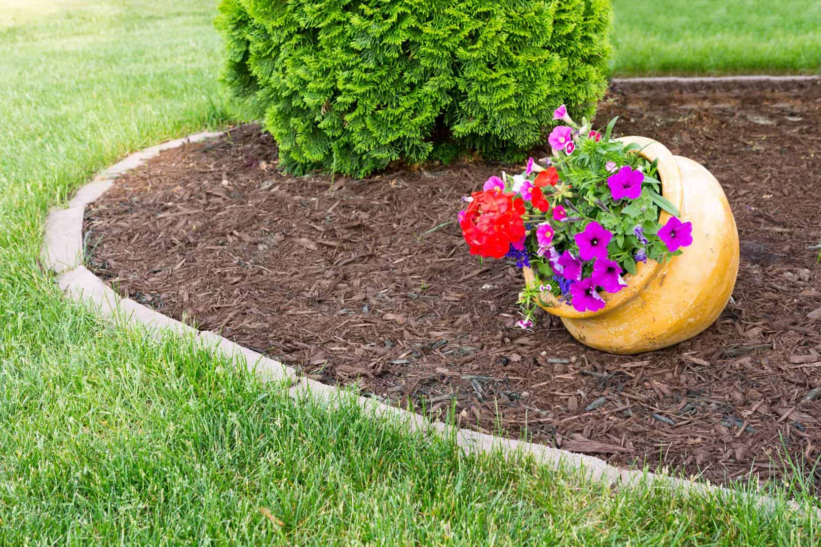 Close up of landscaping with mulch, potted plant, tree, and grass