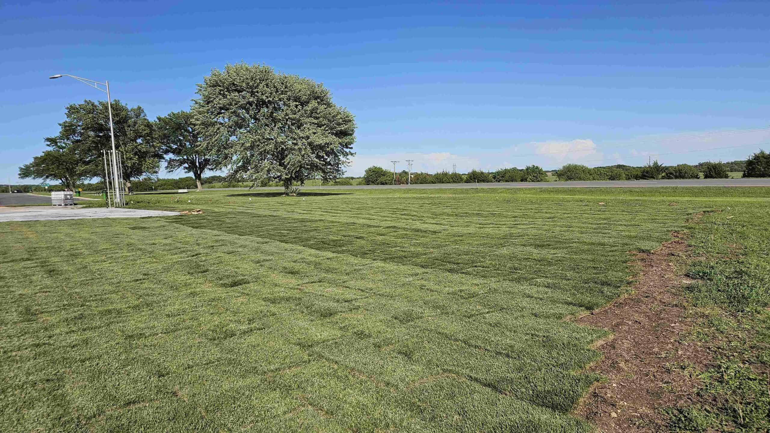 Sod installation watering best practices go a long way.