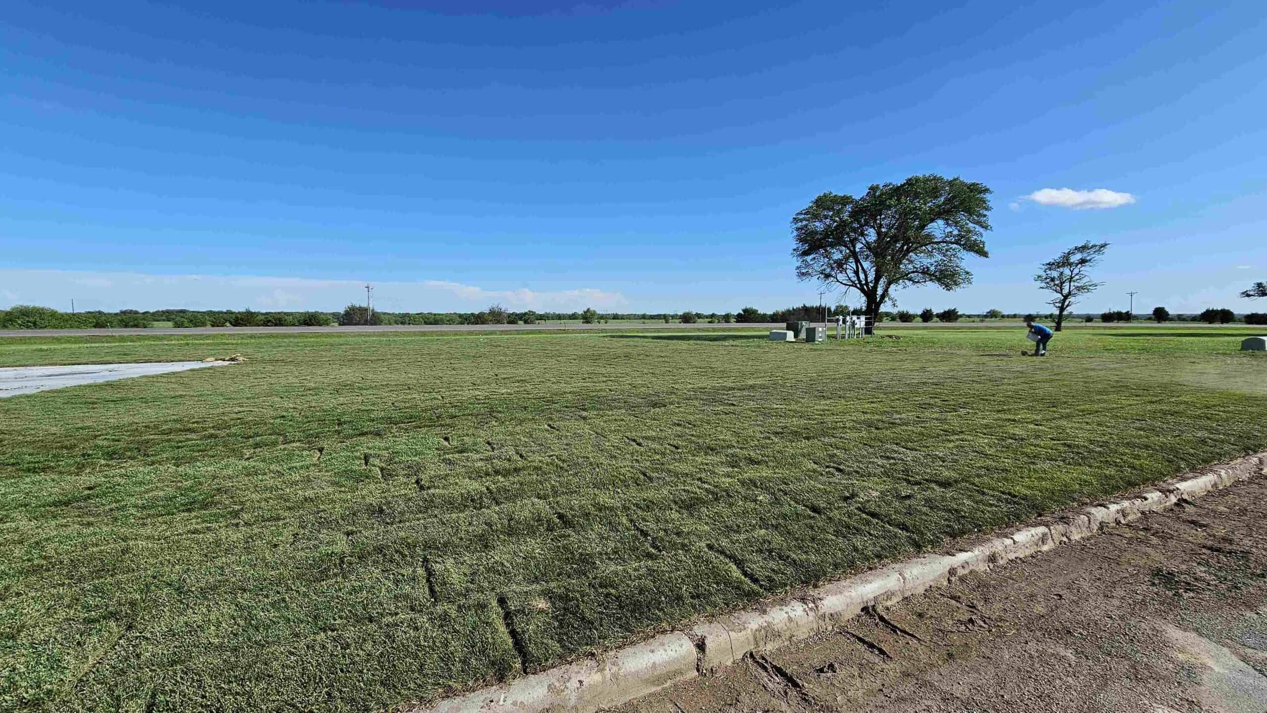 Sod installation plays a critical role in carbon emission reductions.