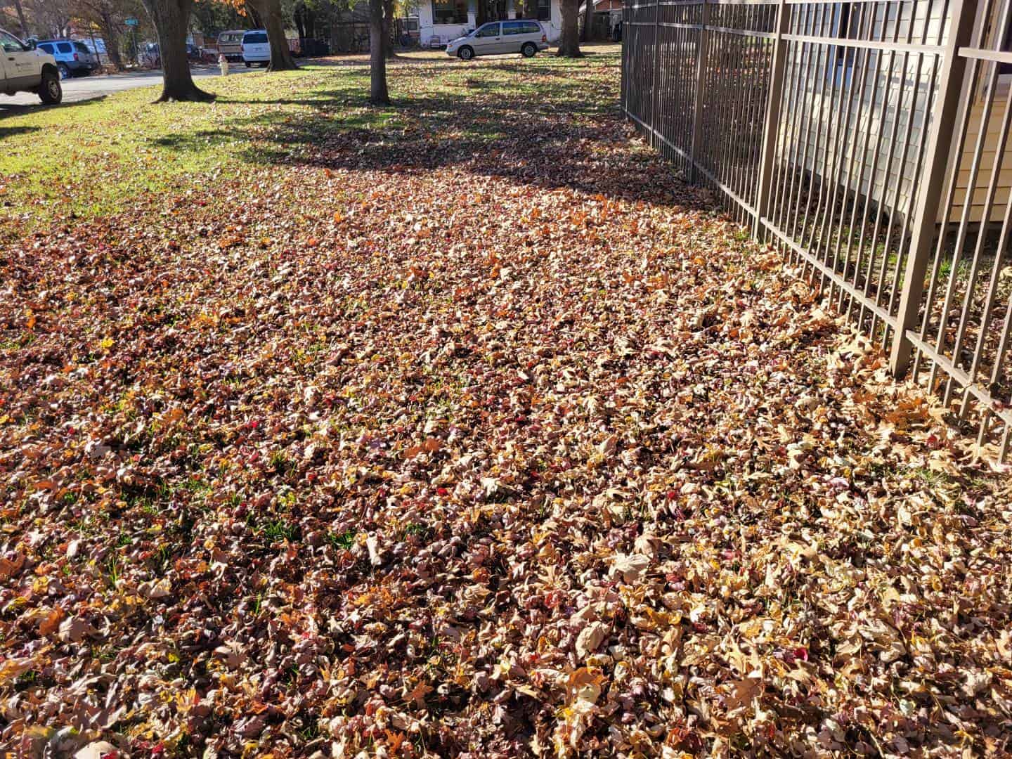 best leaf removal company near me in Wichita, Andover, and El Dorado, Kansas 