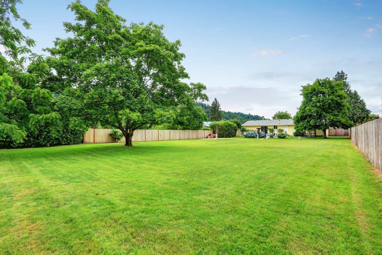 best lawn mowing company in Benton for mulching and landscaping help