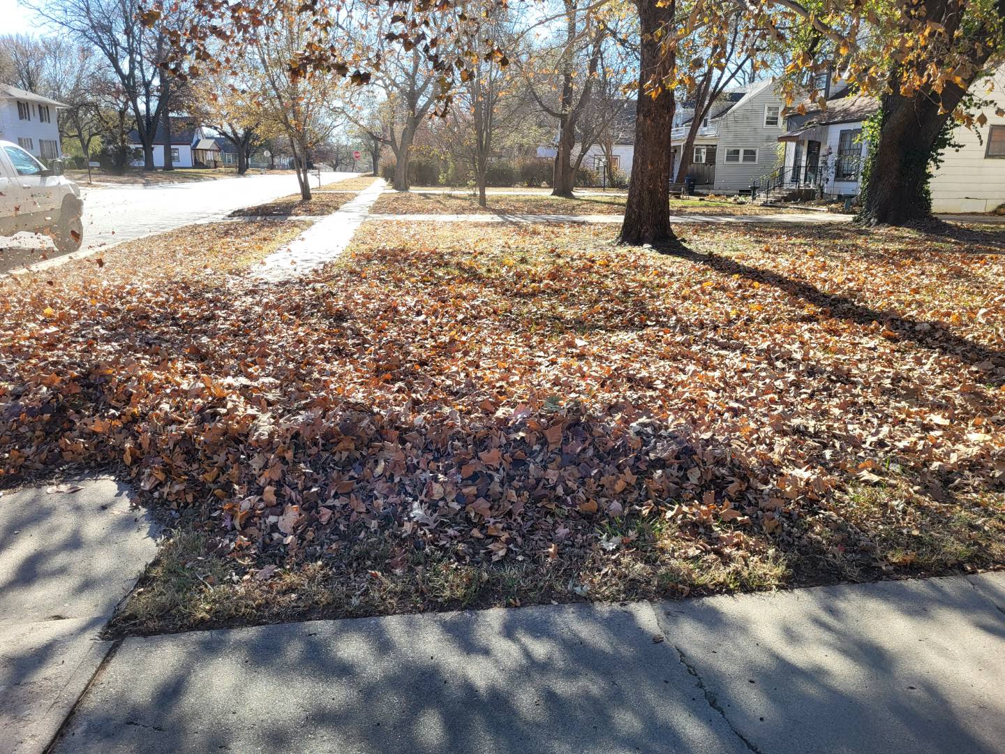 hire company for leaf removal in Wichita, Andover, and El Dorado, KS 