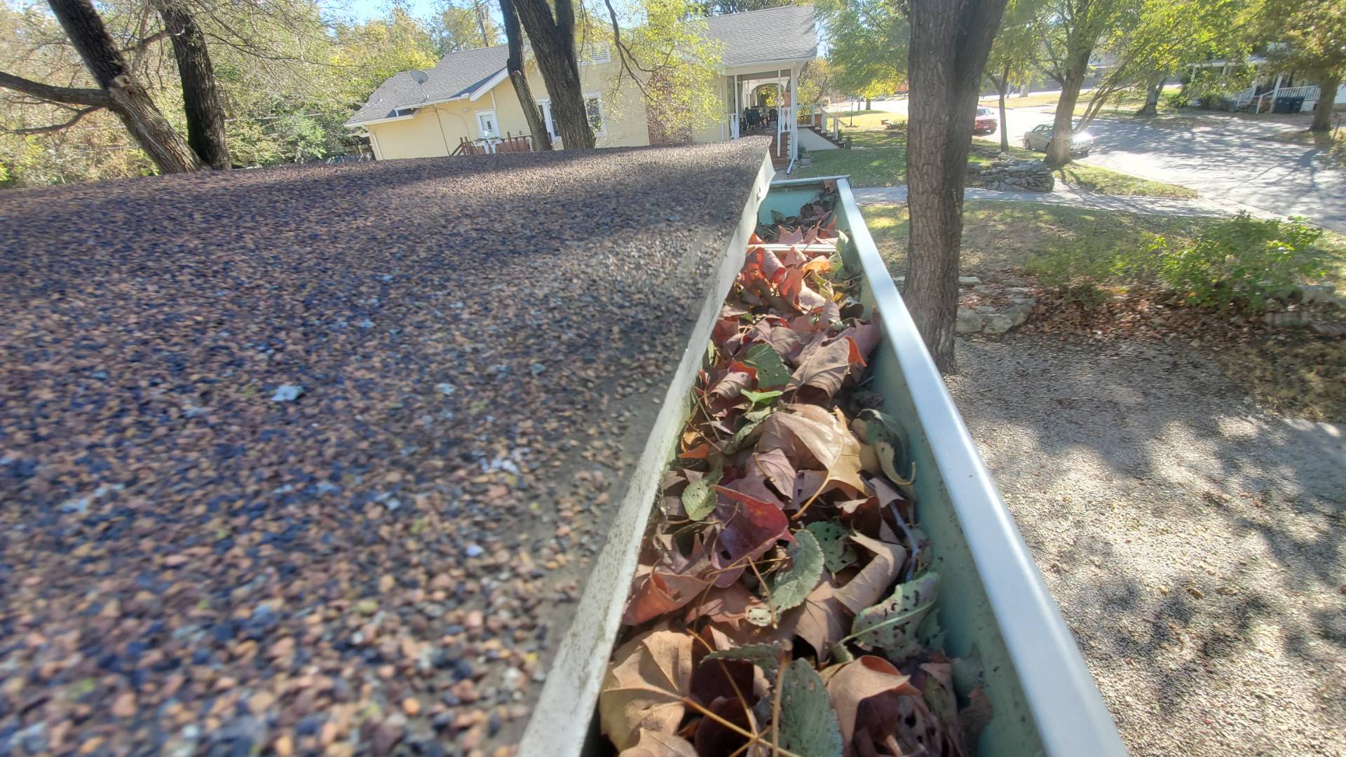 Trimming your perennials is a crucial fall cleanup task for beautiful spring growth.