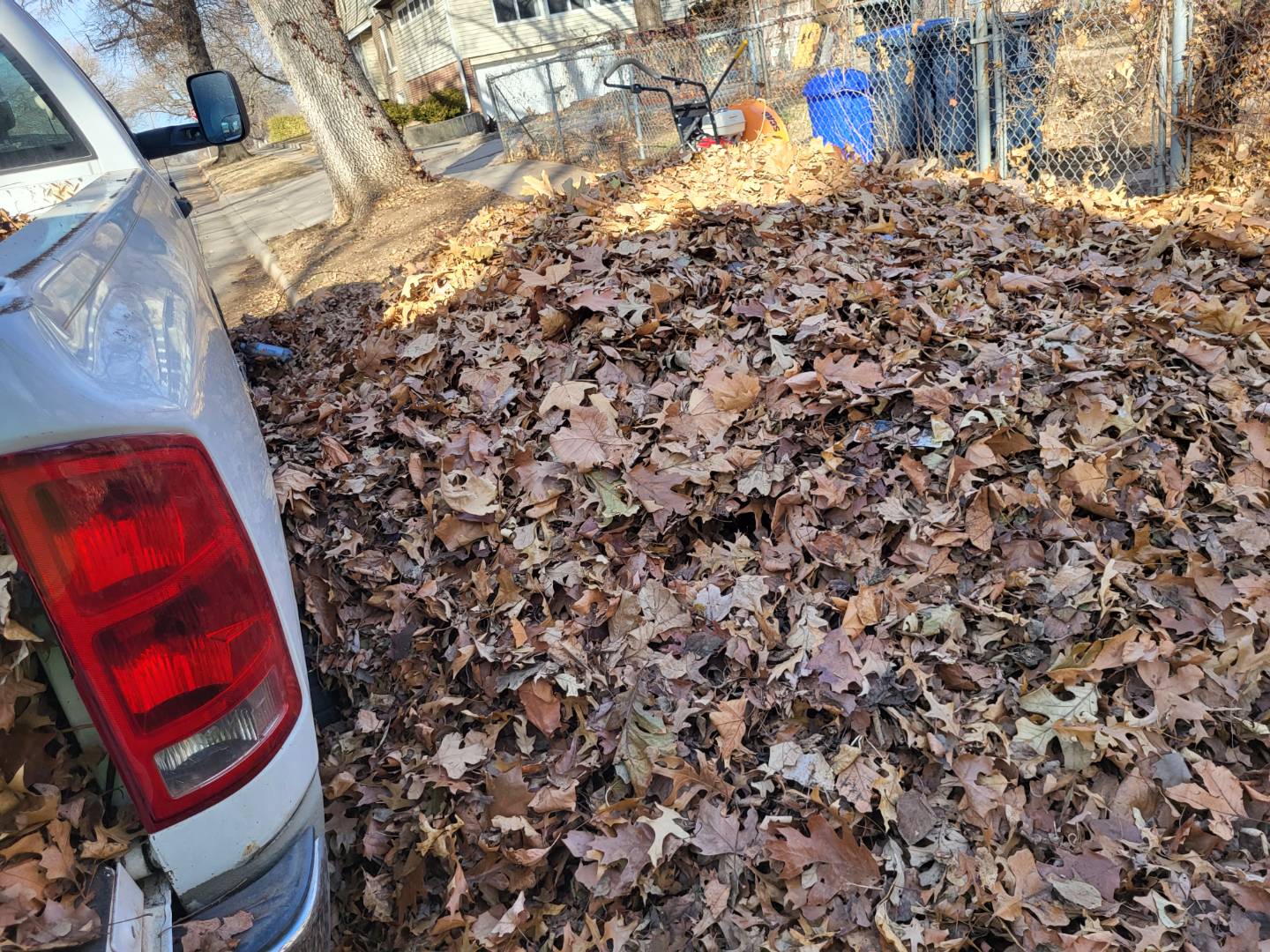 Mulching is an invaluable fall cleanup task when encouraging healthy growth.
