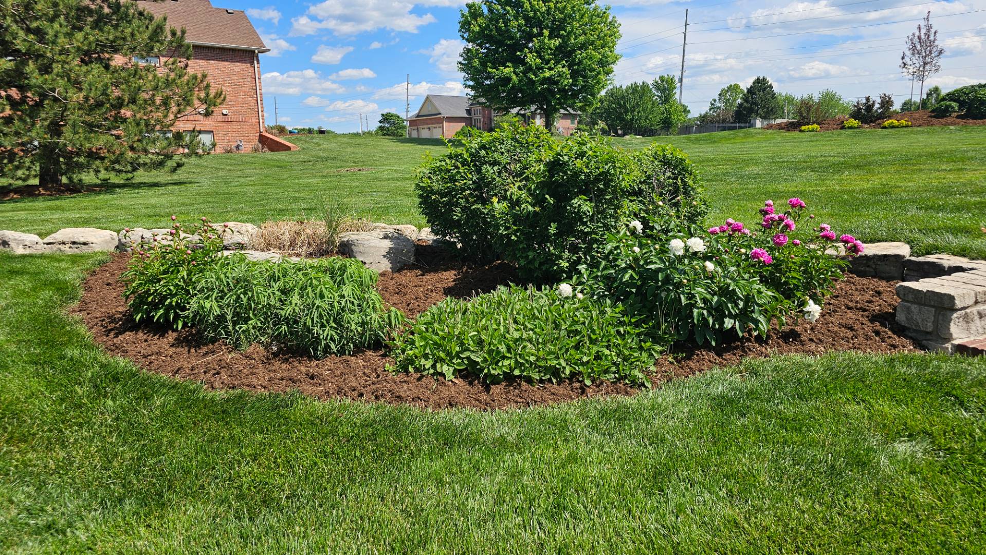 Hellebores and ornamental grasses are great perennials for fall landscaping