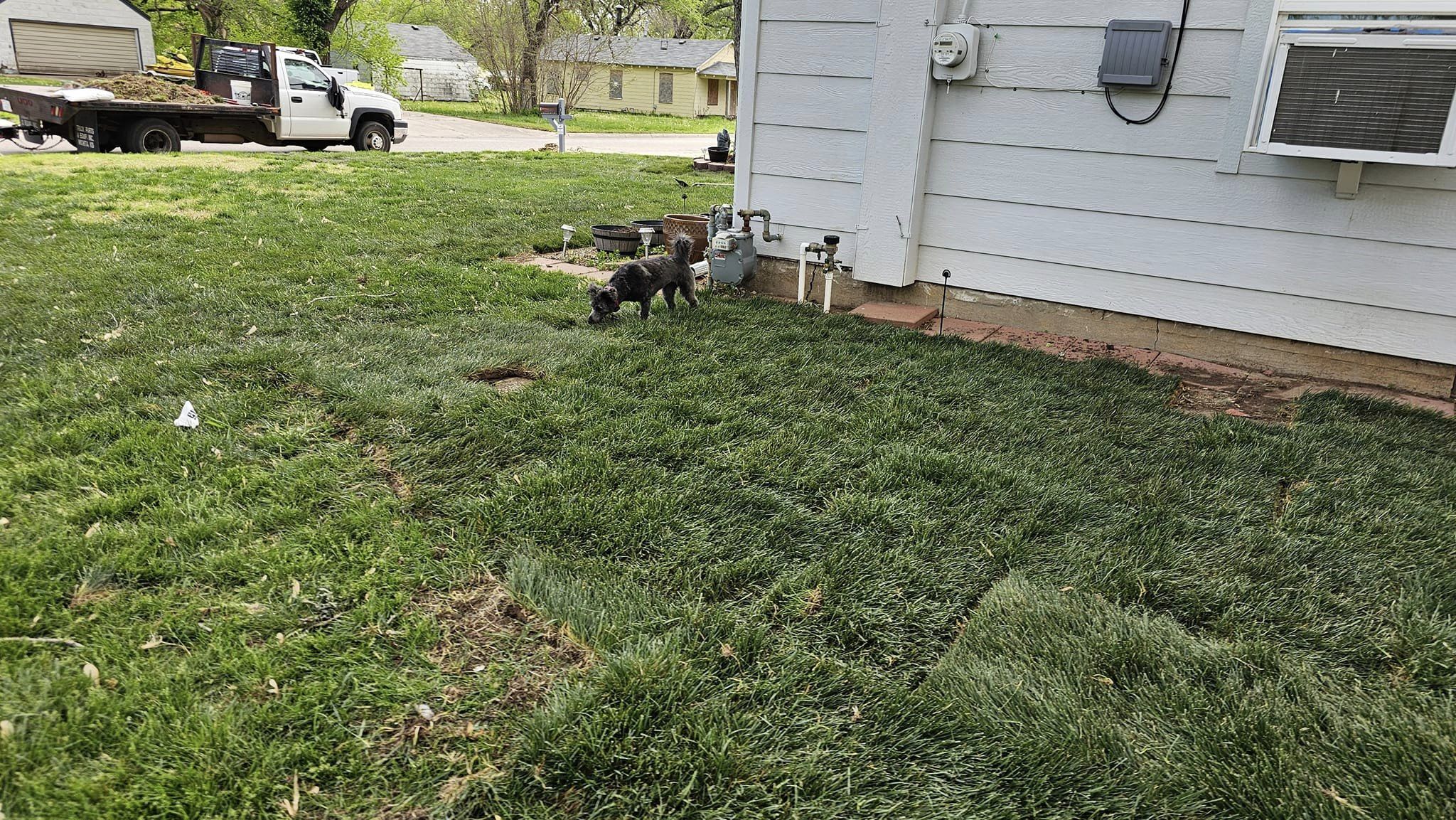 Deterring pests from your sod installation is just like deterring pests from your other grass.