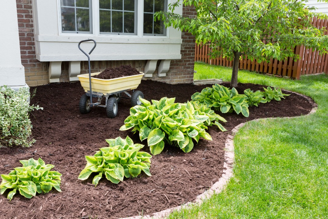 plant selection is the most important part of landscaping for small spaces