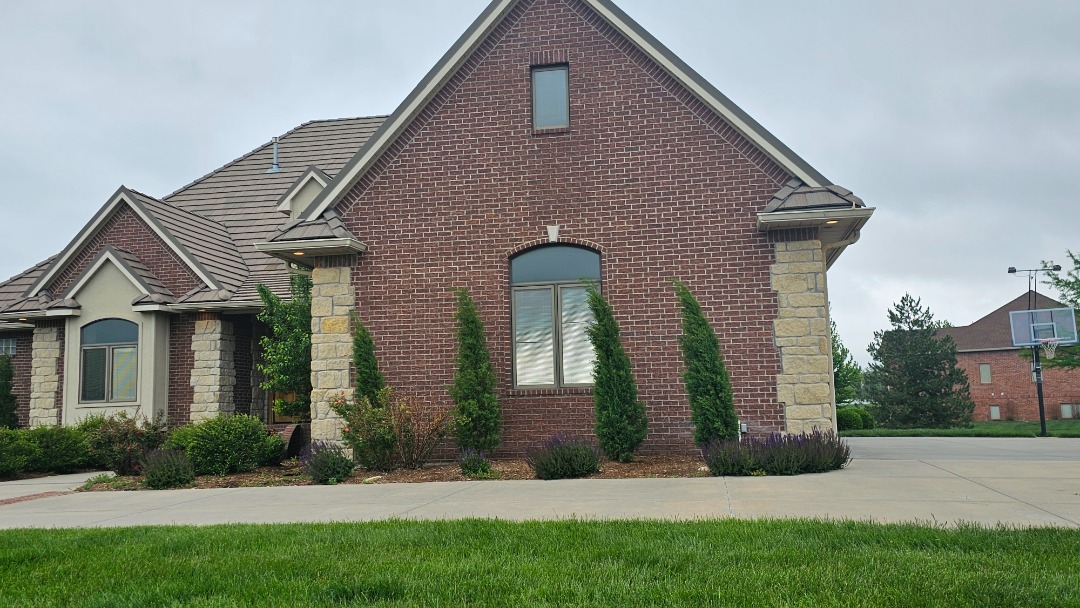 Many trees thrive in winter weather, like evergreens and deciduous trees, making now a perfect time to add them to your landscaping 