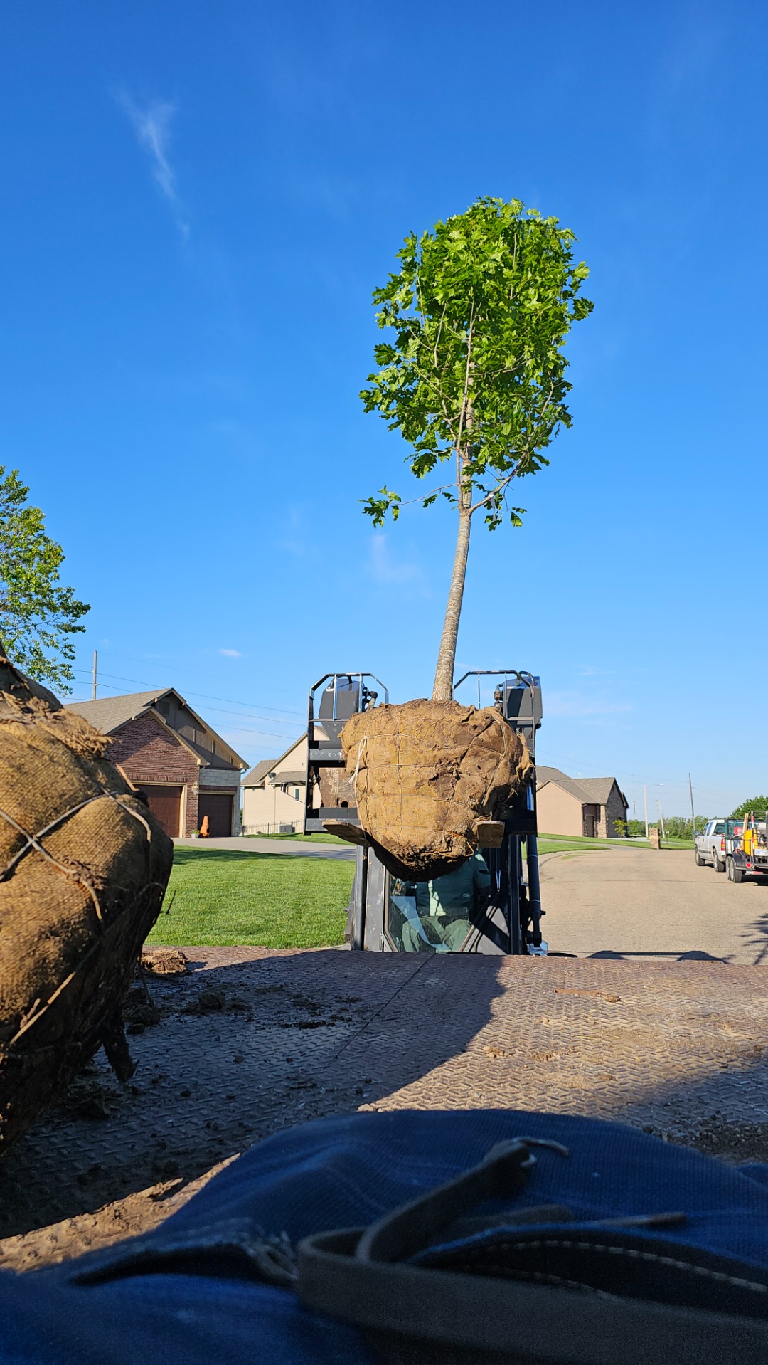 Tree planting leads to reduced heating and cooling bills. 