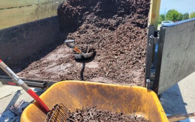 Exceptional Mulching & Lawn Care Services | Quick & Easy Solutions for a Divine Lawn