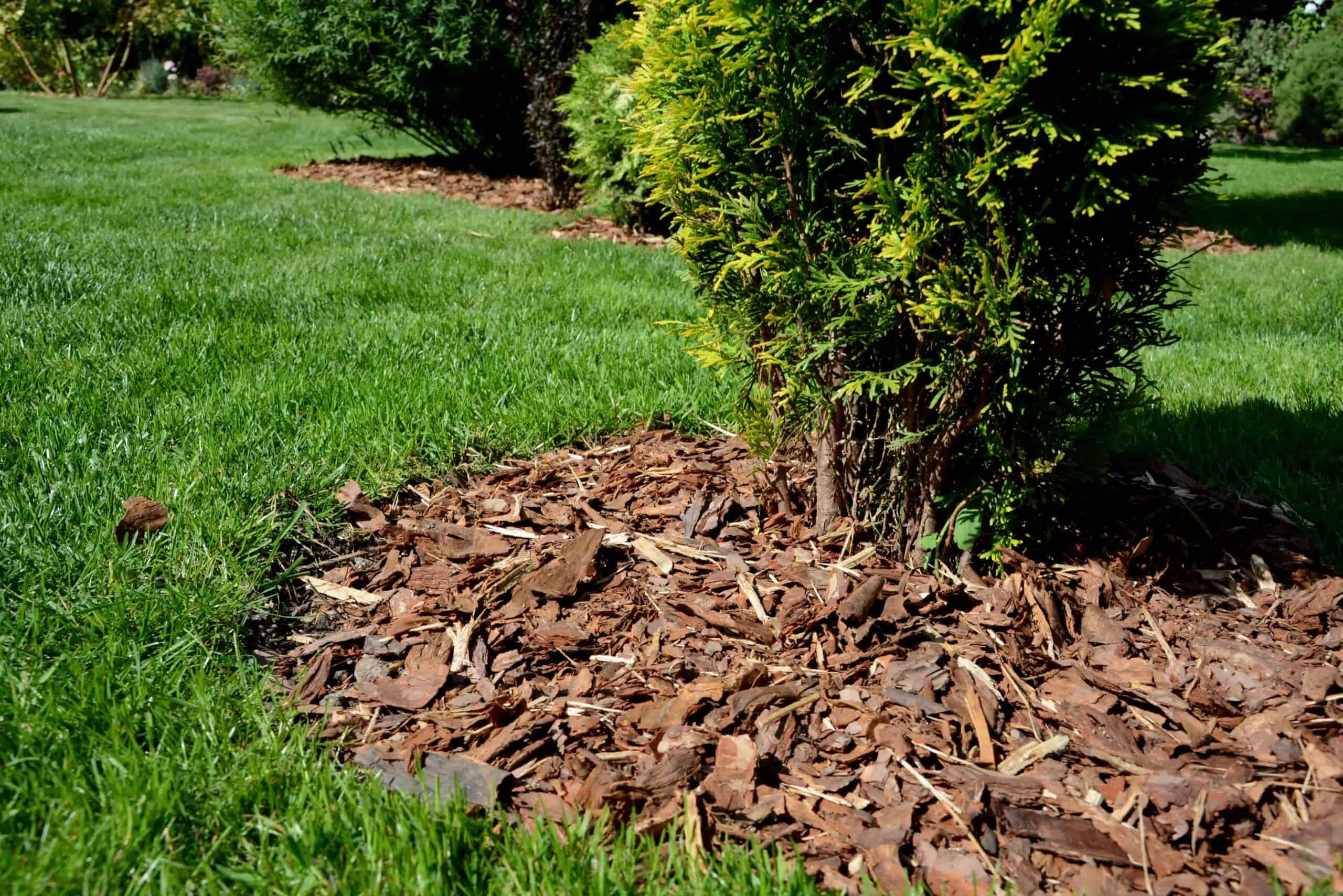 Get a reliable mulch laying service from Divine Lawns today!