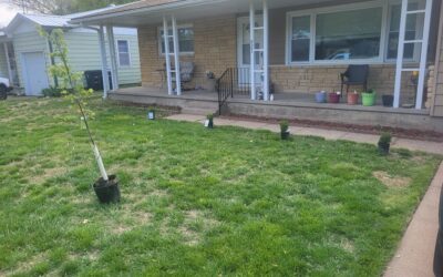 Laying Sod in the Winter- Will Frost Hurt My Newly Laid Sod?