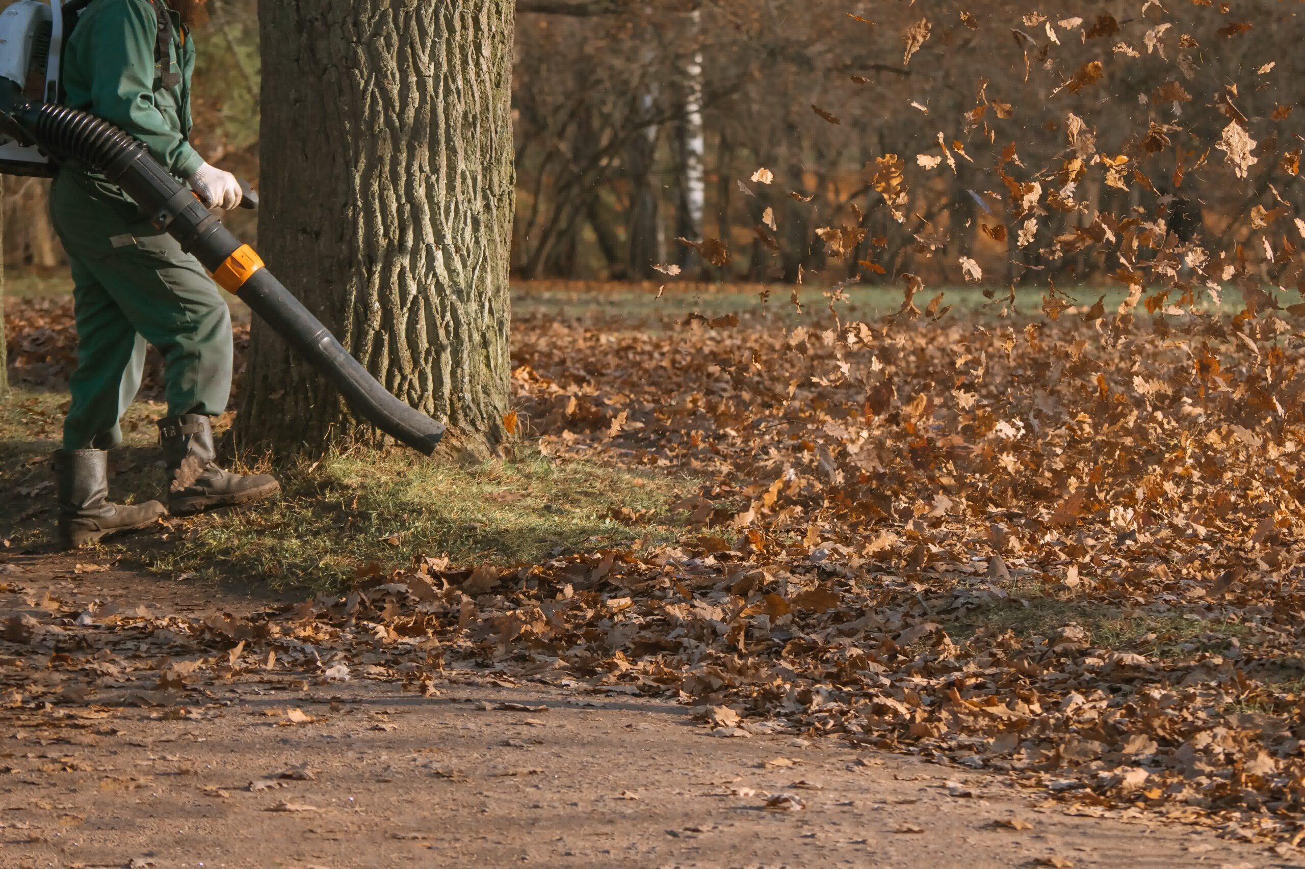 A man performing fall clean up and leaf blowing fall leaves.