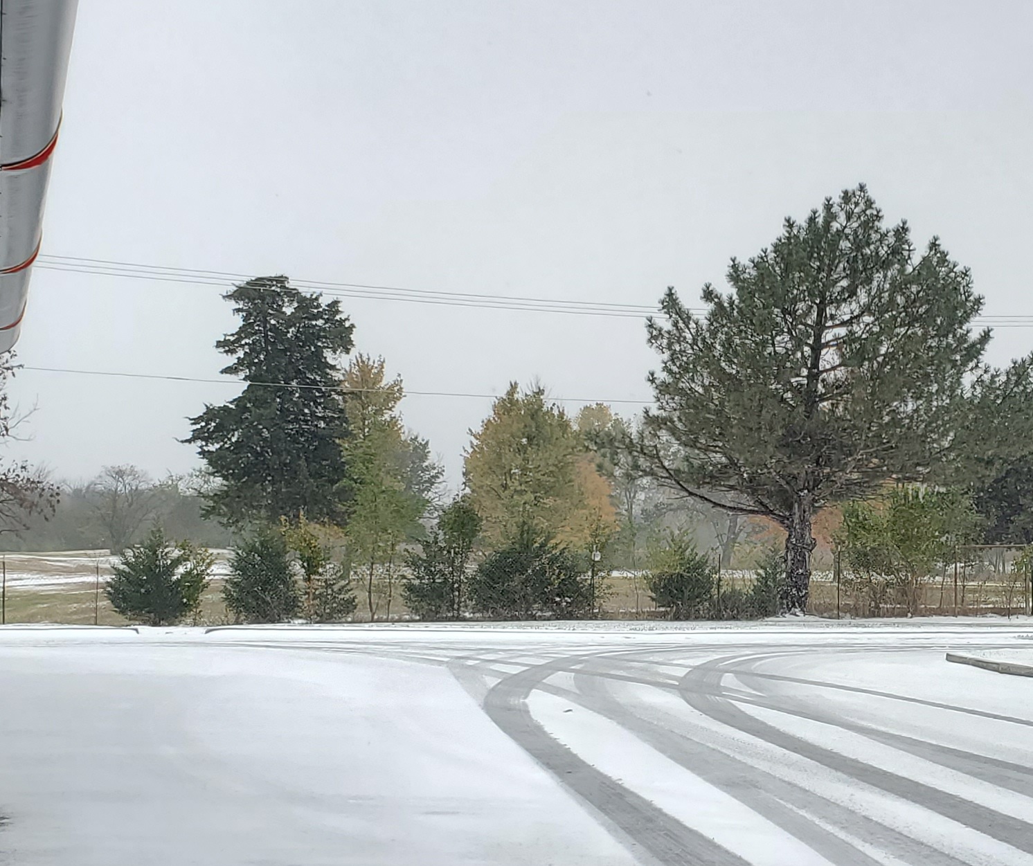 A group of trees in the snow with vehicle tracks in the foreground.