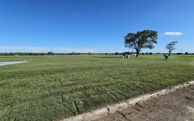 Fresh Sod Installation: Your Path to a Lush, Vibrant Lawn