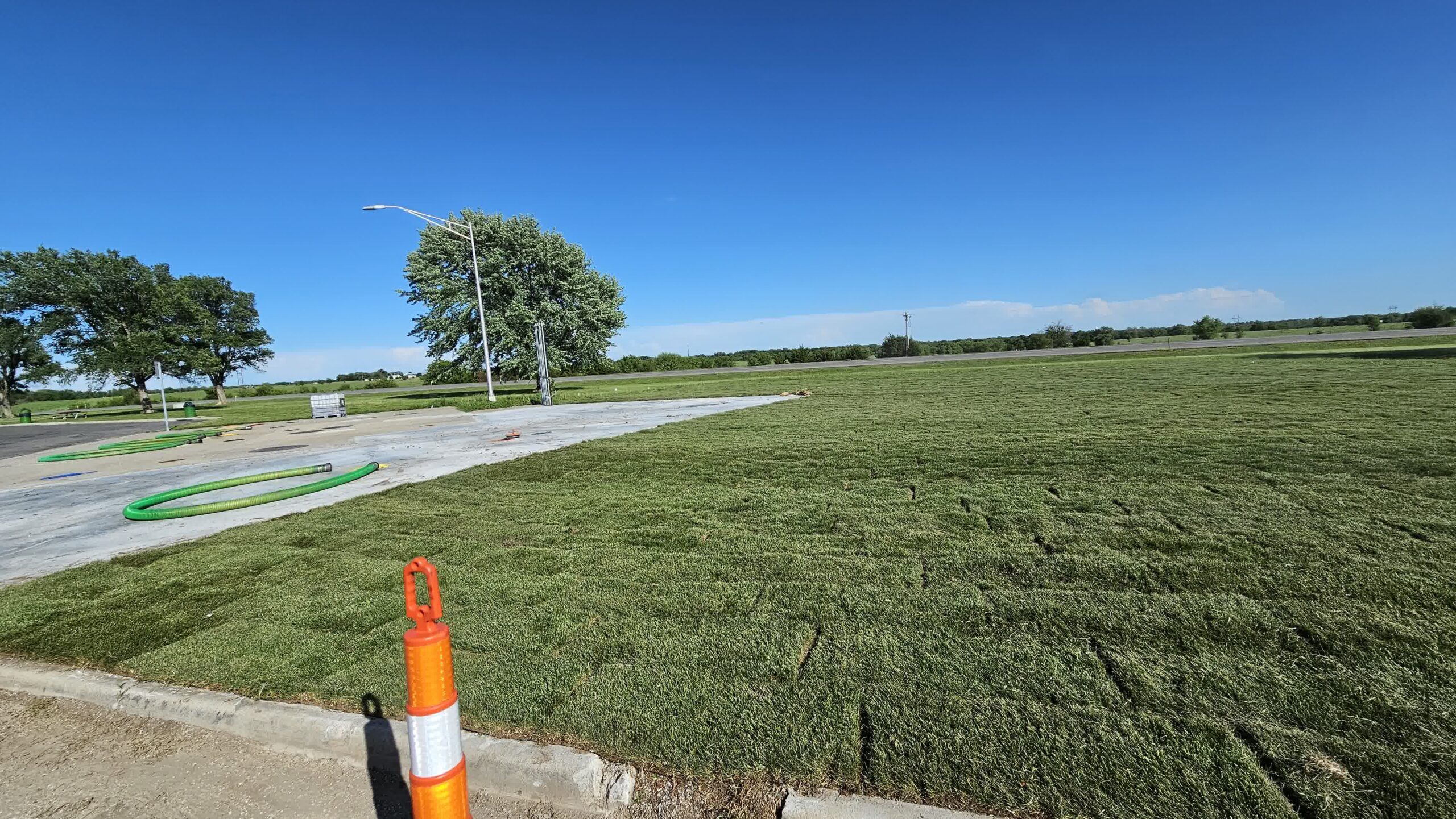 Fresh sod put down on a commercial lawn.