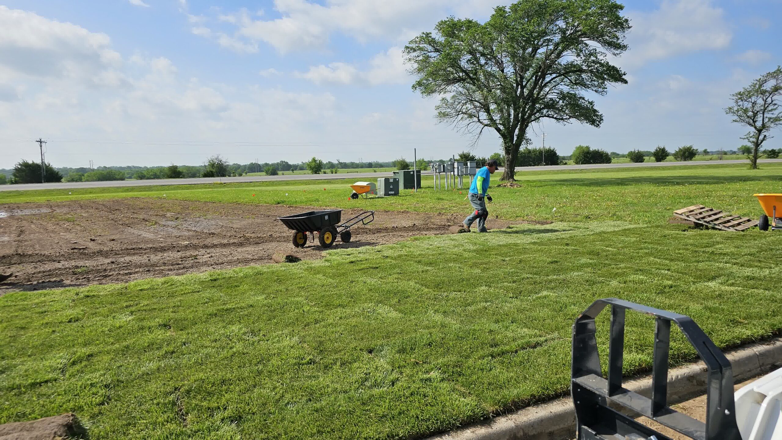 Divine Lawns expert landscaper installing fresh sod.