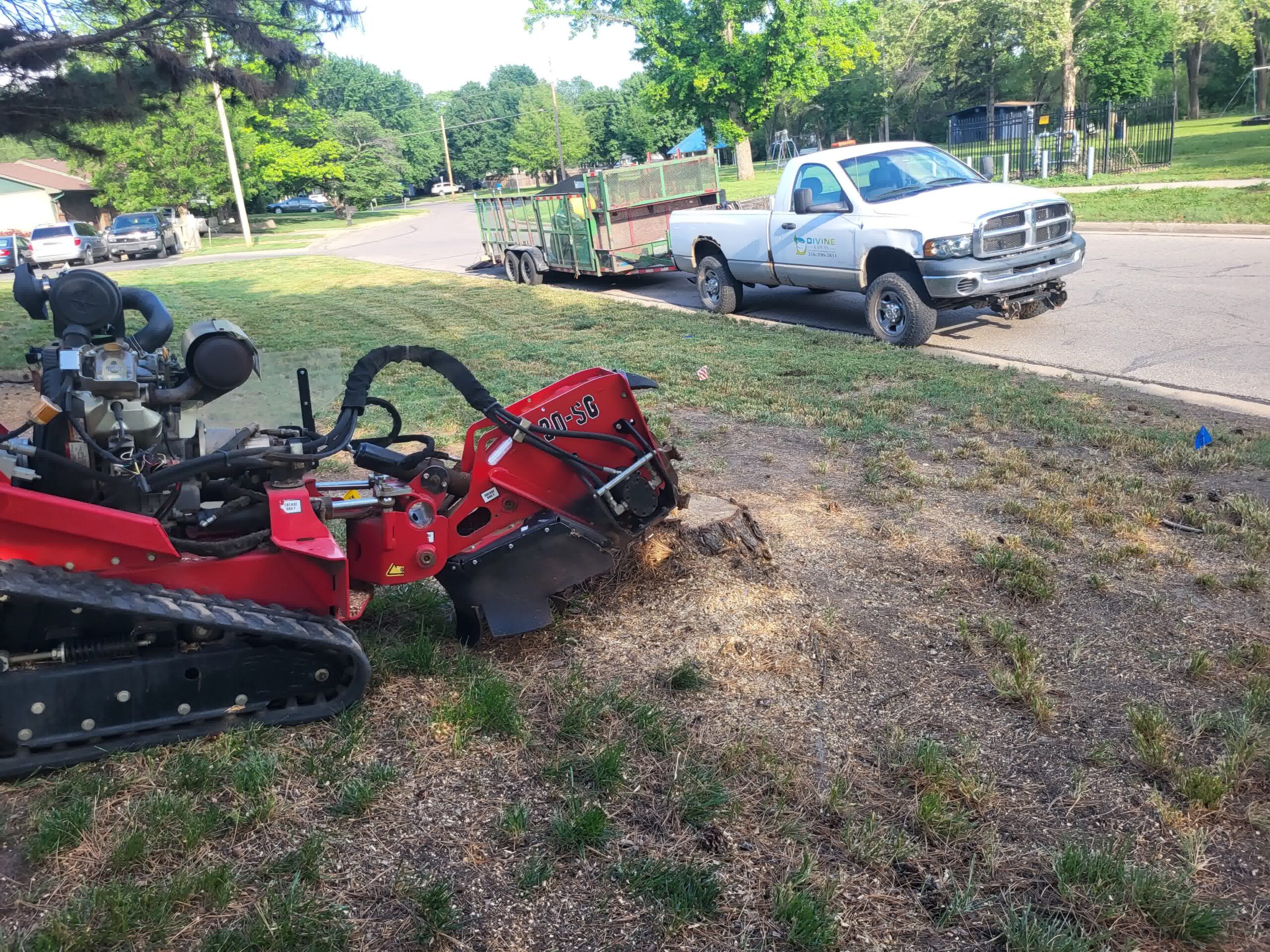 All tree services, Divine Lawns take care of it.